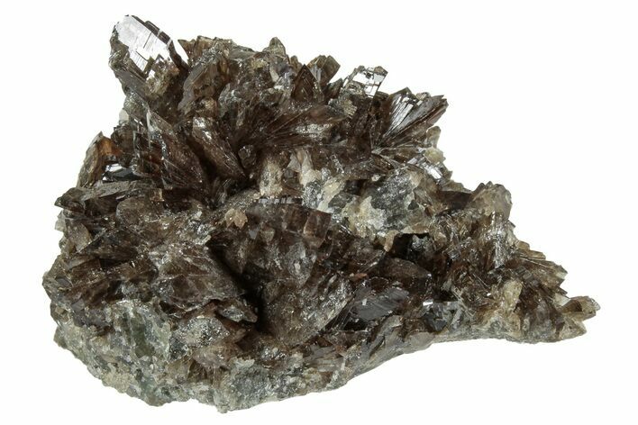 Lustrous Axinite Crystal Cluster - Dalnegorsk, Russia #239588